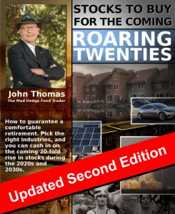 Stocks to Buy For The Roaring Twenties - FREE DOWNLOAD