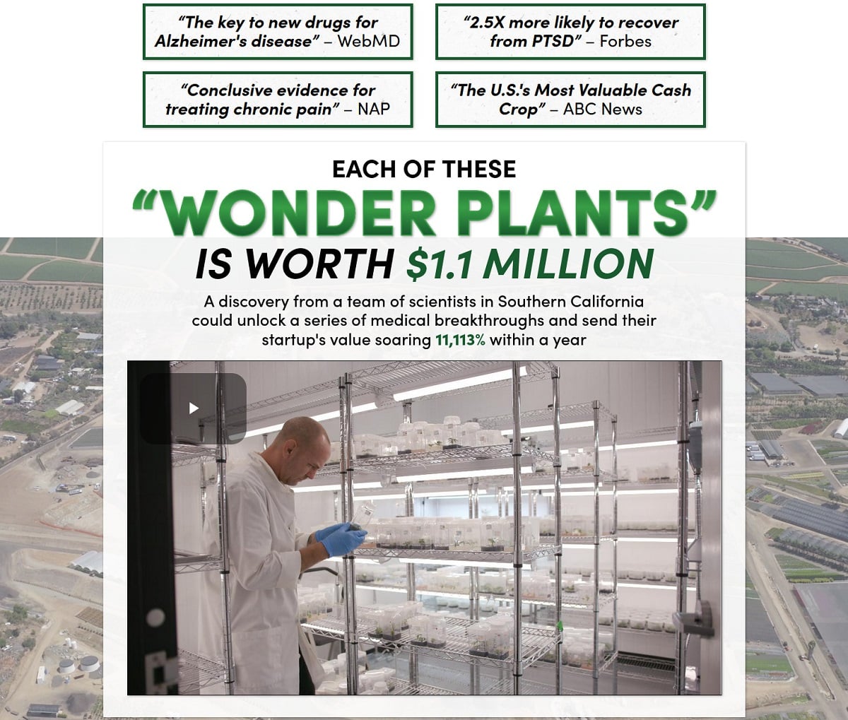 Cannabis Venture Syndicate Wonder Plants StartUp: What Is All About?